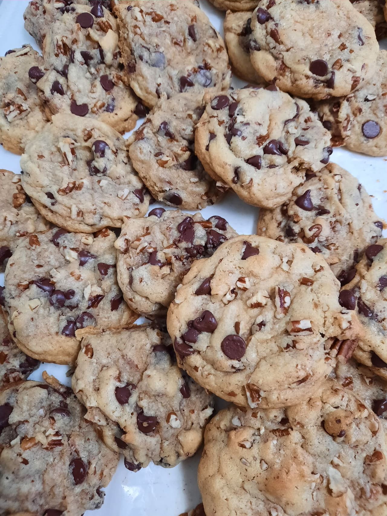 A plate of chocolate chip cookies