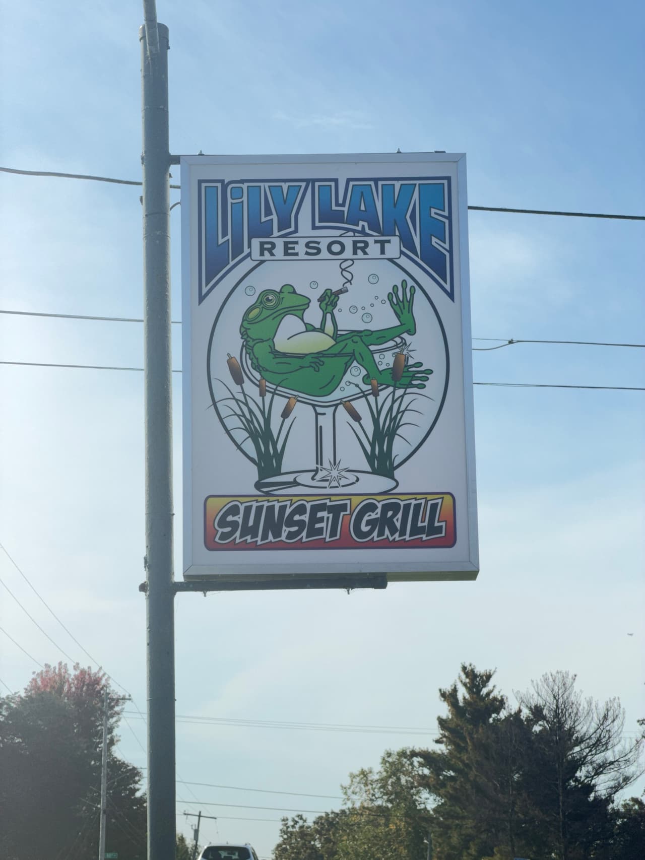 Close-up of the Lily Lake Resort road sign with Jill's frog logo