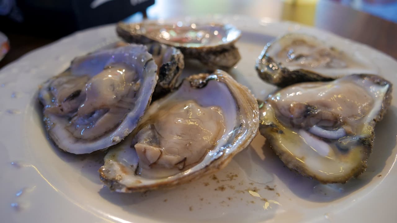 Plate of fresh oysters on the half shell